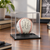 Baseball Display Case - lifestyle photo