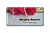 Name Badges - NSA555 — 3" x 1 1/2"