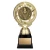 Matrix Achievement Award — 6.75 inches
