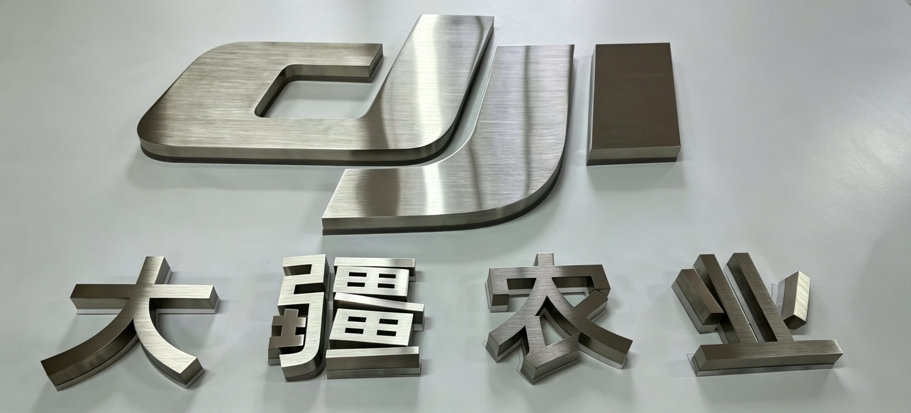 Premium custom metal wall logo for enterprise front‑door decoration
