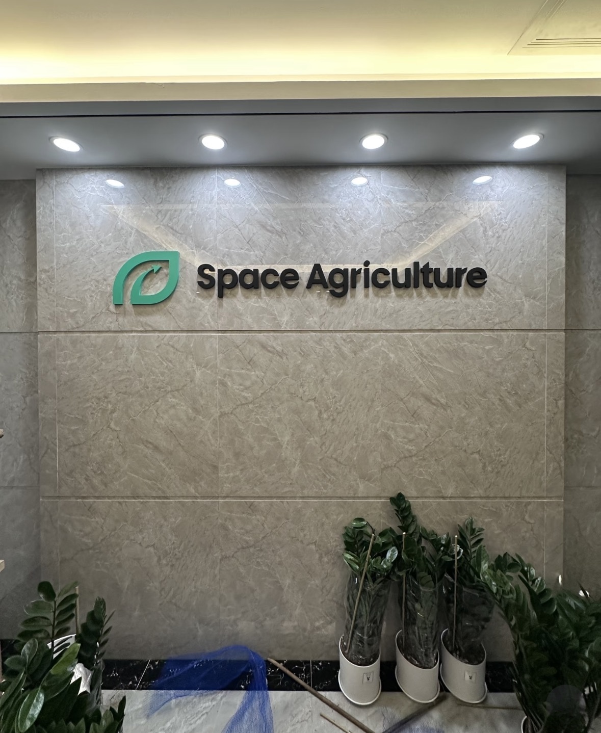 Matte custom metal logo, office lobby wall signage