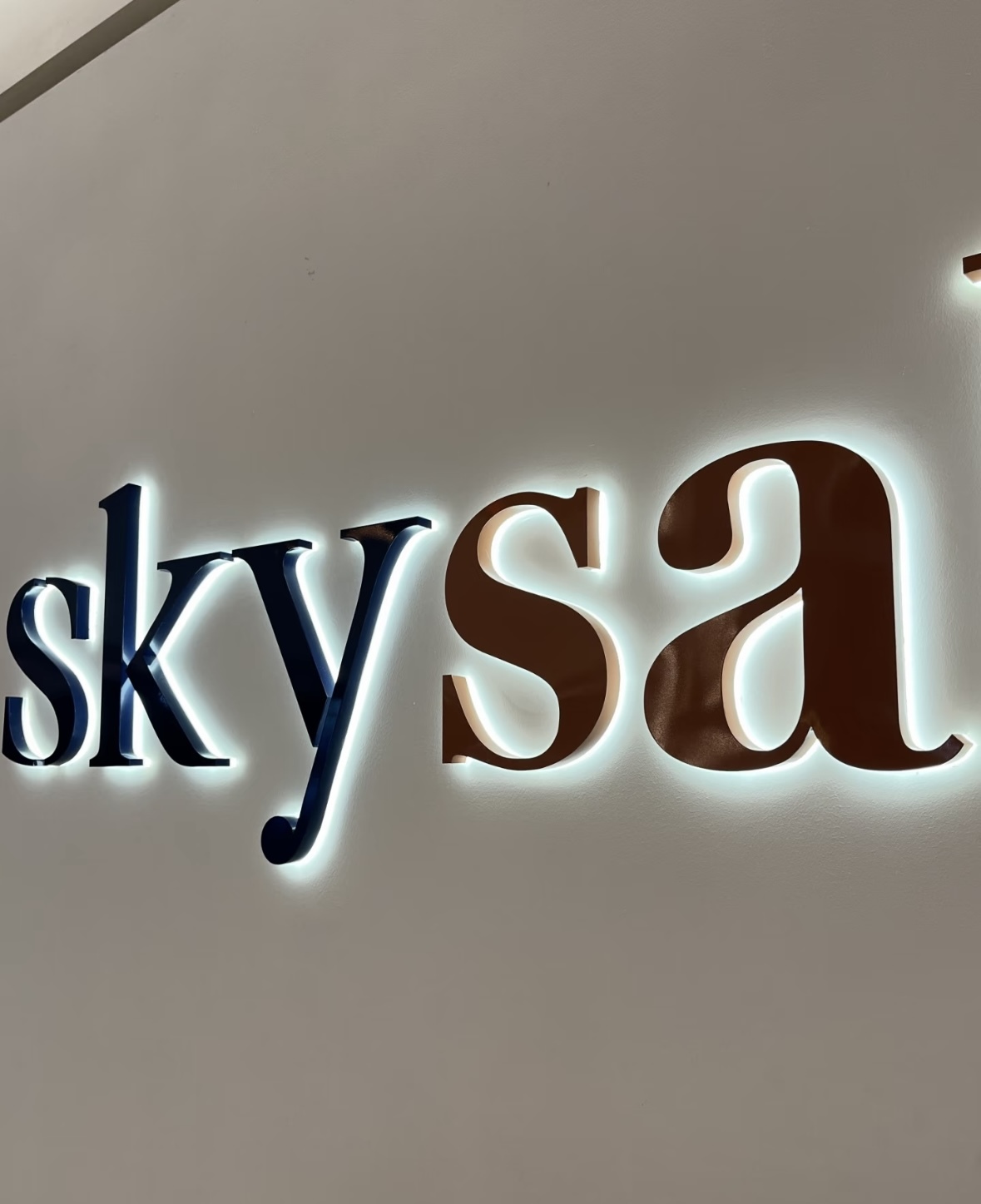 Backlit Stainless Steel Channel Letters - Side View & Illumination Detail
