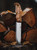 Knife leaning against chopped wood. Exemplifies the beauty of the blade.