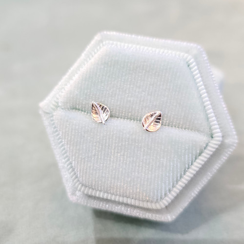Tiny Leaf  Stud Earrings