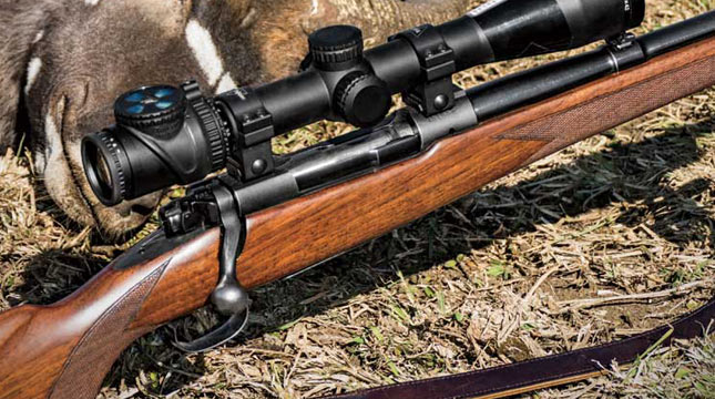 pre-64-winchester-model-70.jpg