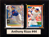 MLB6"X8"Anthony Rizzo Chicago Cubs Two Card Plaque