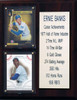 MLB8"X10"Ernie Banks Chicago Cubs Career Stat Plaque