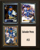 MLB8"x10"Salvador Perez Kansas City Royals Three Card Plaque