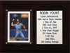 MLB6"X8"Robin Yount Milwaukee Brewers Career Stat Plaque