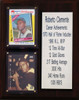 MLB8"X10"Roberto Clemente Pittsburgh Pirates Career Stat Plaque