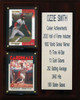MLB8"X10"Ozzie Smith St. Louis Cardinals Career Stat Plaque