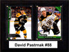 NHL 6"x8" David Pastnarik Boston Bruins Two Card Plaque