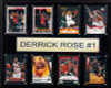 NBA 12"x15" Derrick Rose Chicago Bulls 8-Card Plaque