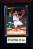 NBA 4"x6" Derrick Rose Chicago Bulls Player Plaque