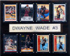 NBA 12"x15" Dwyane Wade Miami Heat 8 Card Plaque