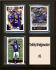 NFL 8"x10" Teddy Bridgewater Minnesota Vikings Three Card Plaque