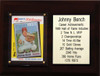 MLB 6"X8" Johnny Bench Cincinnati Reds Career Stat Plaque