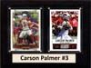 NFL 6"X8" Carson Palmer Arizona Cardinals Two Card Plaque