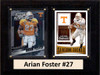 NCAA 6"X8" Arian Foster Tennessee Volunteers Two Card Plaque