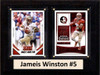 NCAA 6"X8" Jameis Winston Florida State Seminoles Two Card Plaque