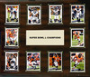 NFL 15"x18" Denver Broncos Super Bowl 50 - 10-Card Plaque