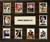 NFL 15"x18" Drew Brees New Orleans Saints Player Plaque