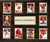NHL 15"x18" Nicklas Lidstrom Detroit Red Wings Player Plaque