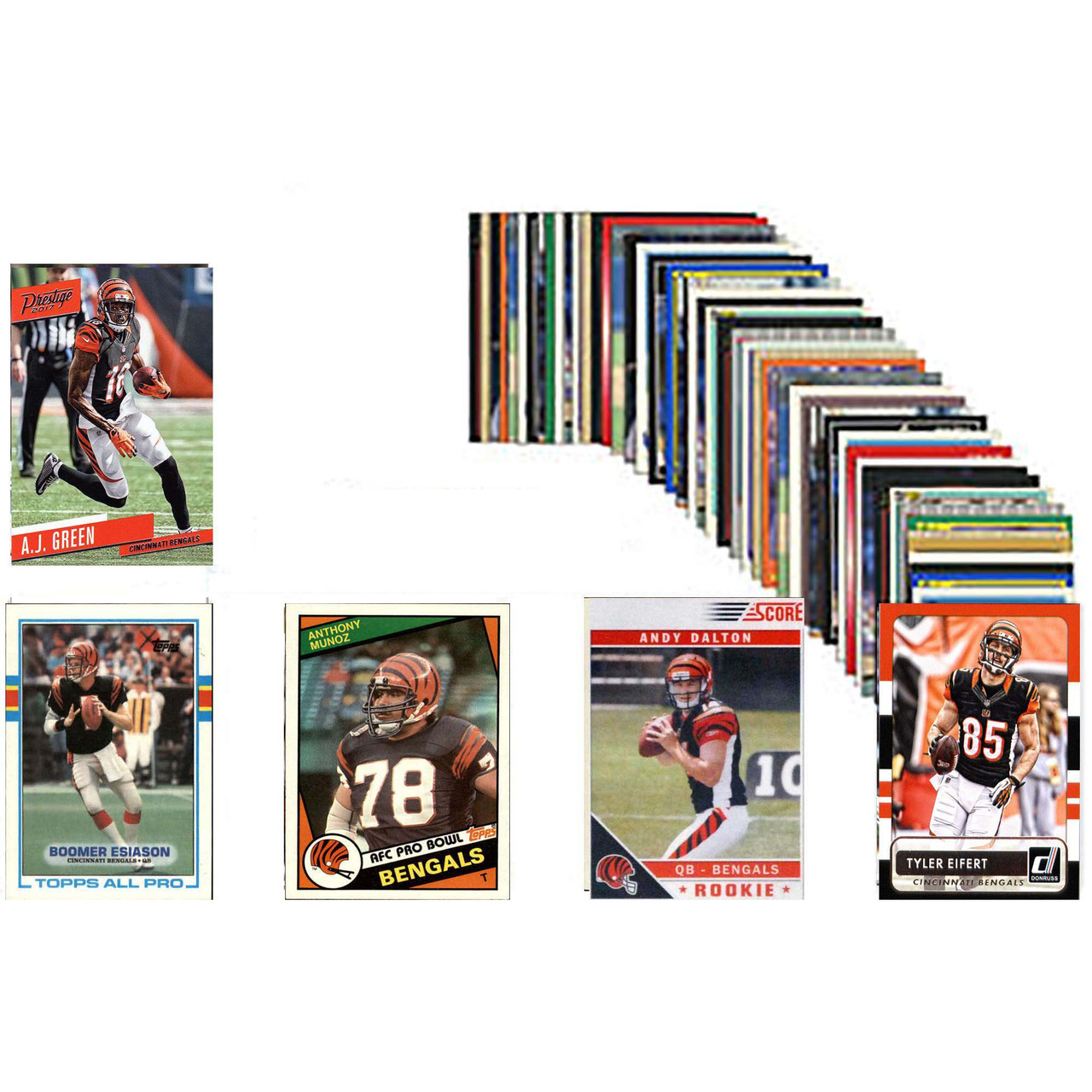 NFL Cincinnati Bengals 50 Card Packs