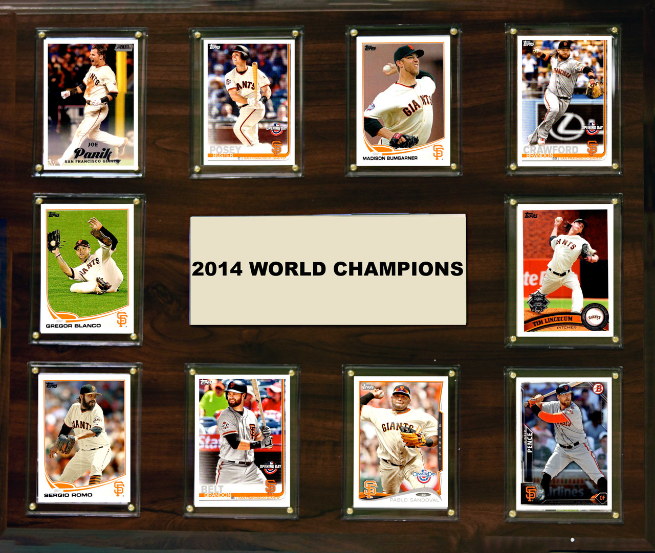 2014 San Francisco Giants World Series Champions Framed 