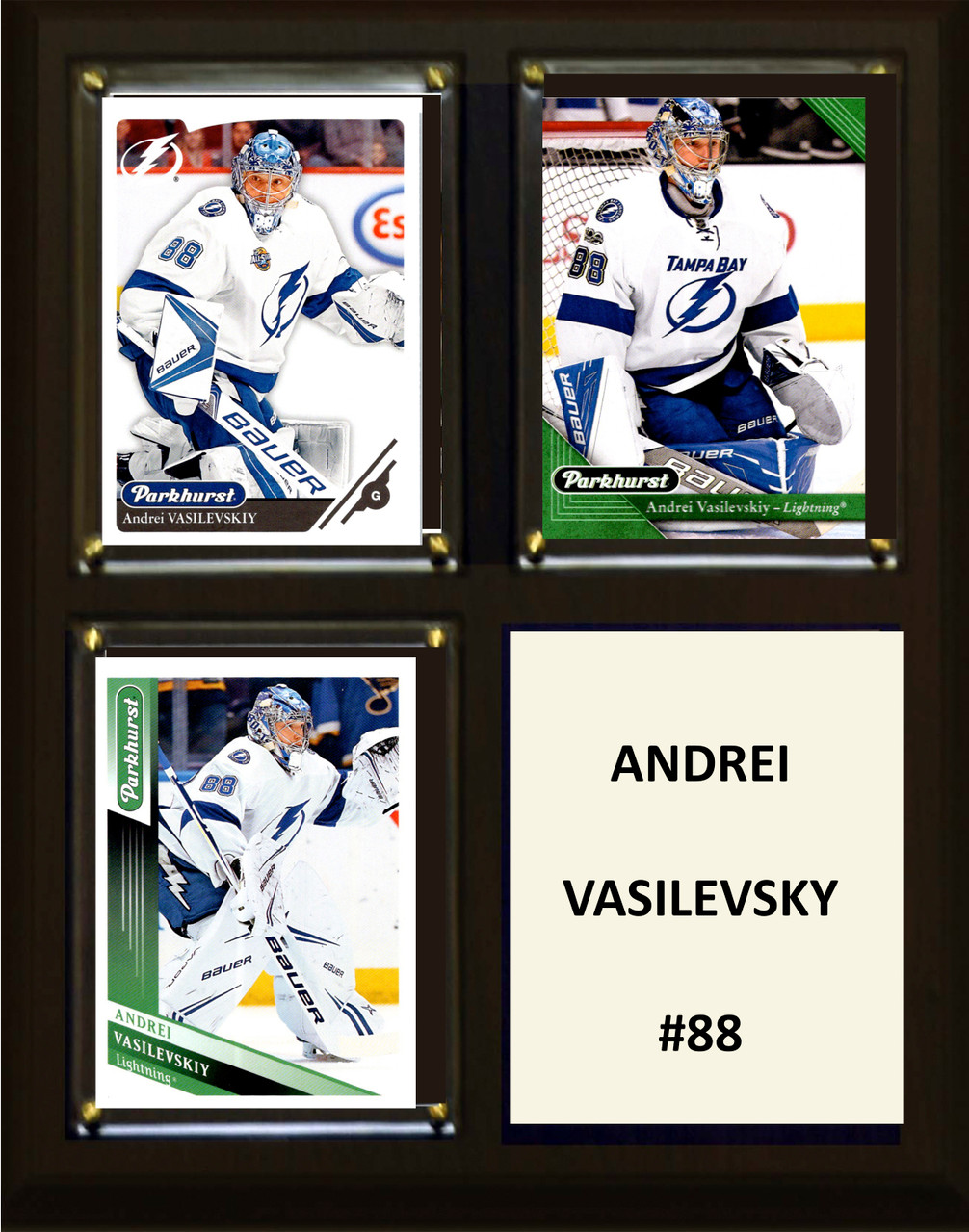NHL 8"x10" Andrei Vasilevskiy Tampa Bay Lightning Three Card Plaque