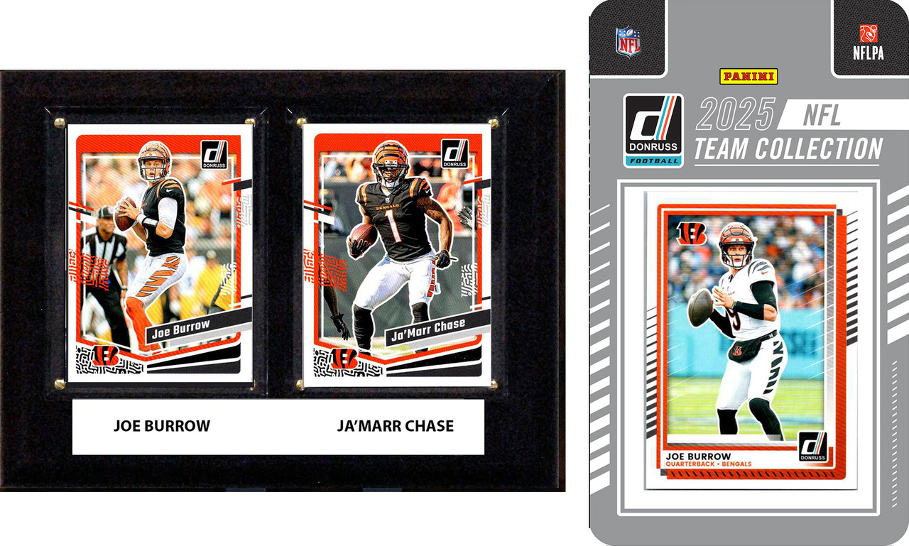 NFL Cincinnati Bengals 2025 Fan Pack