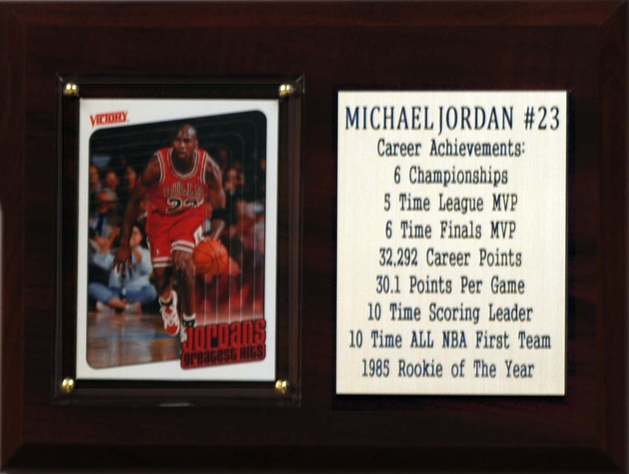 NBA 6"X8" Michael Jordan Chicago Bulls Career Stat Plaque