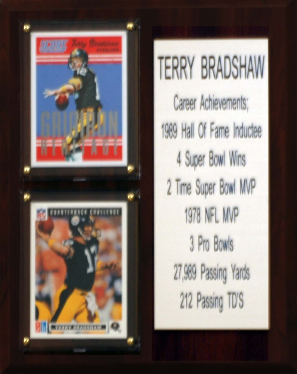 NFL 8"X10" Terry Bradshaw Pittsburgh Steelers Career Stat Plaque
