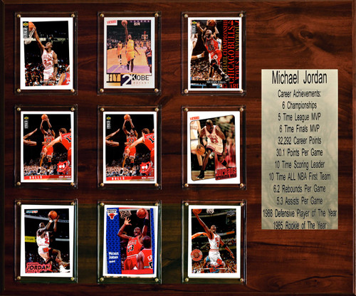 NBA 15"x18" Michael Jordan Chicago Bulls Career Stat Plaque