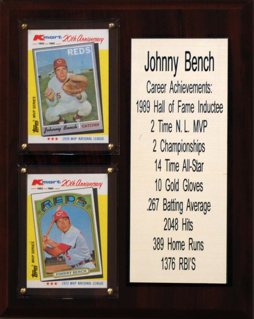 MLB 8"X10" Johnny Bench Cincinnati Reds Career Stat Plaque