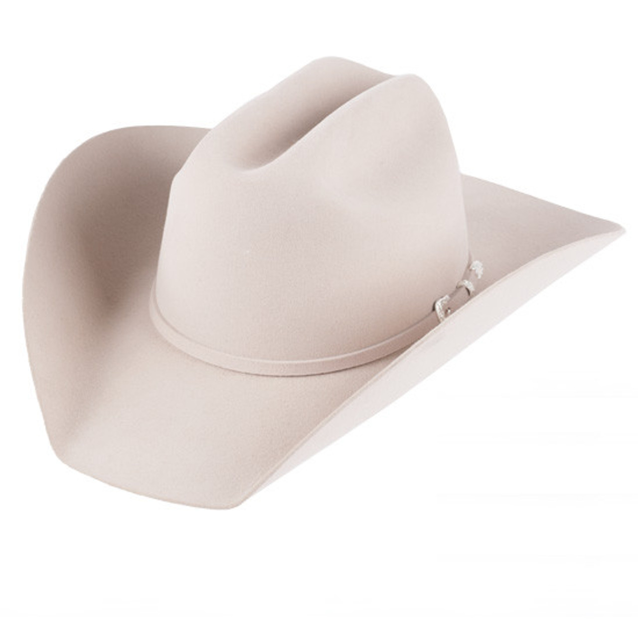 stetson lariat silverbelly