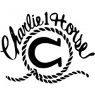 Charlie 1 Horse