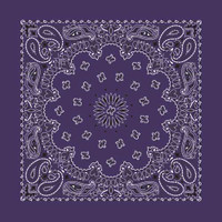 Bandanas - Traditional Paisley - Plum