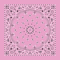 Bandanas - Traditional Paisley - Strawberry Bandanas - Traditional Paisley - Strawberry