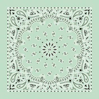Bandanas - Traditional Paisley - Mint