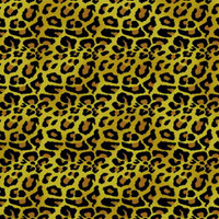 Bandanas - Animal Print Collection - Leopard