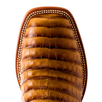 Horse Power By Anderson Bean Kids Boots - Toasted Tan Caiman  / Blue Sinsation