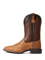 Ariat Men's Boots - Quantum Primo Full Quill Ostrich / Beam Brown Ariat Men's Boots - Quantum Primo Full Quill Ostrich / Beam Brown