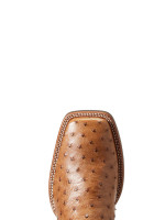Ariat Men's Boots - Quantum Primo Full Quill Ostrich / Beam Brown Ariat Men's Boots - Quantum Primo Full Quill Ostrich / Beam Brown