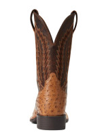 Ariat Men's Boots - Quantum Primo Full Quill Ostrich / Beam Brown Ariat Men's Boots - Quantum Primo Full Quill Ostrich / Beam Brown