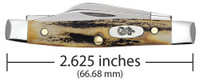 Case Knives Accessories - Small Stockman / Stag Case Knives Accessories - Small Stockman / Stag