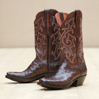Black Jack Women's Boots - Full Quill Ostrich #237 - Nicotine Black Jack Women's Boots - Full Quill Ostrich #237 - Nicotine