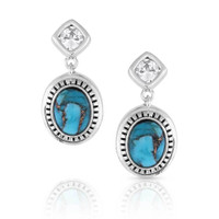 Montana Silversmith Accessories - Open Night Sky Turquoise Earrings