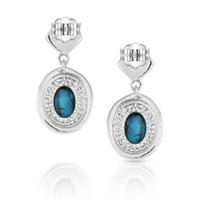 Montana Silversmith Accessories - Open Night Sky Turquoise Earrings