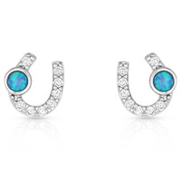 Montana Silversmith Accessories - Lightfoot Horseshoe Earrings